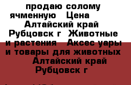 продаю солому ячменную › Цена ­ 350 - Алтайский край, Рубцовск г. Животные и растения » Аксесcуары и товары для животных   . Алтайский край,Рубцовск г.